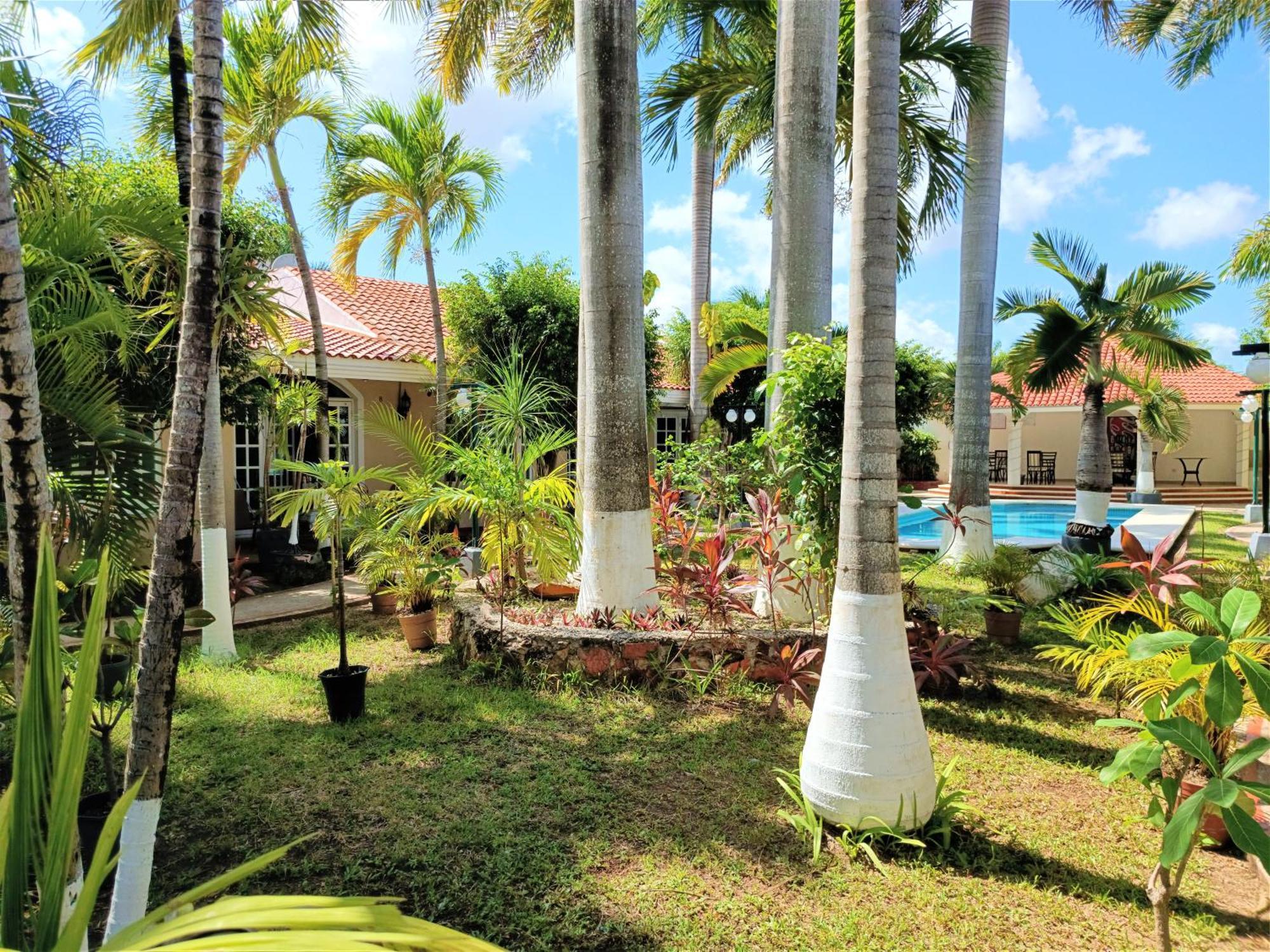 Tulipanes Cancún Eksteriør billede